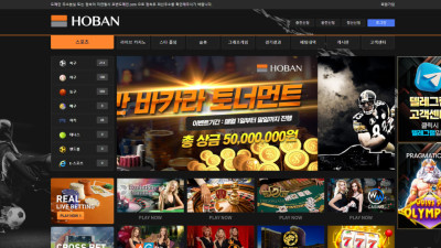 토토사이트 호반 먹튀 제보